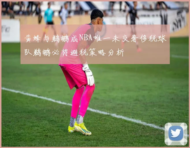 黄蜂与鹈鹕成NBA唯一未交奢侈税球队鹈鹕必将避税策略分析