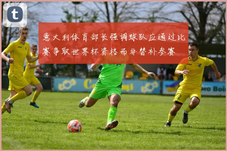 意大利体育部长强调球队应通过比赛争取世界杯资格而非替补参赛